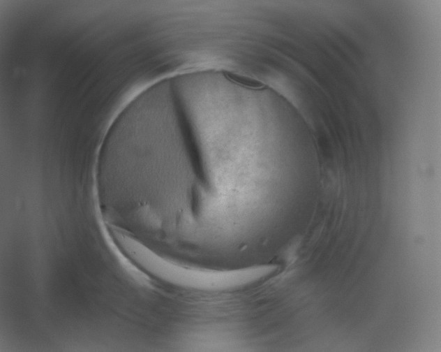 X0000054361055200508121509