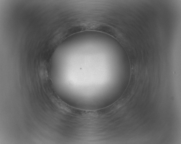 X0000054361058200508121508