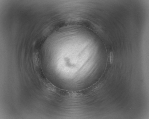 X0000054361059200508121508