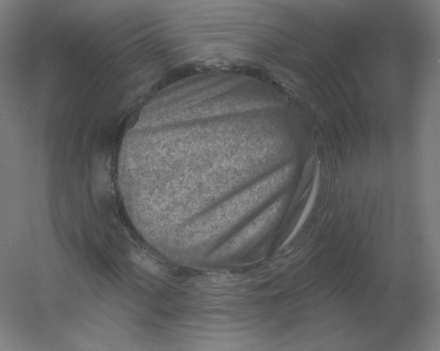 X0000054361060200508121508