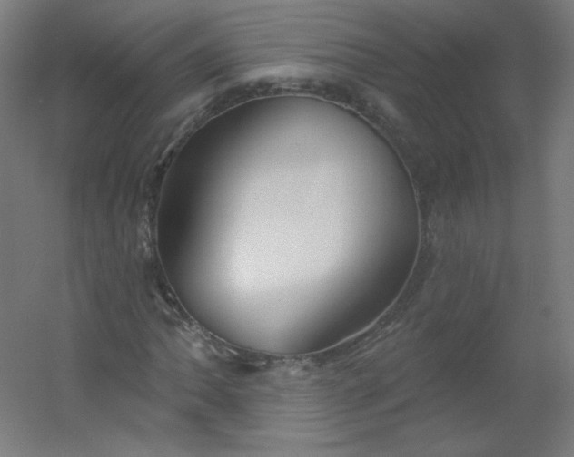 X0000054361062200508121508
