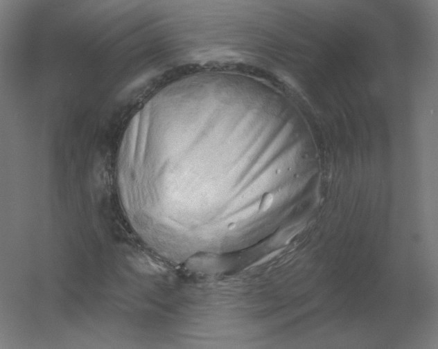 X0000054361063200508121508