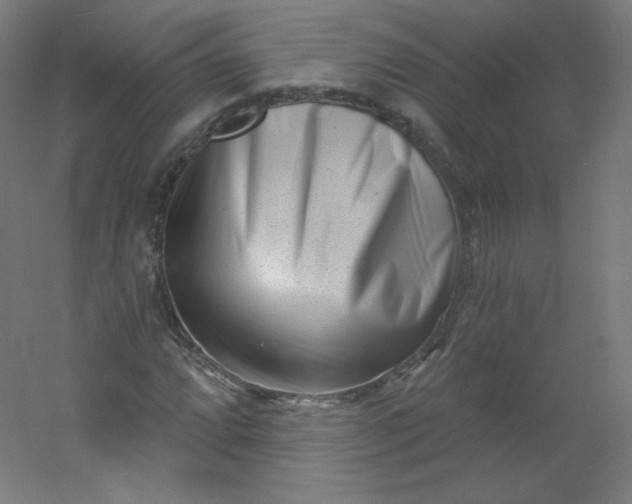 X0000054361064200508121508