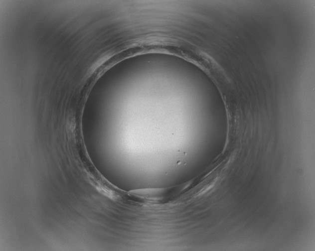 X0000054361065200508121508