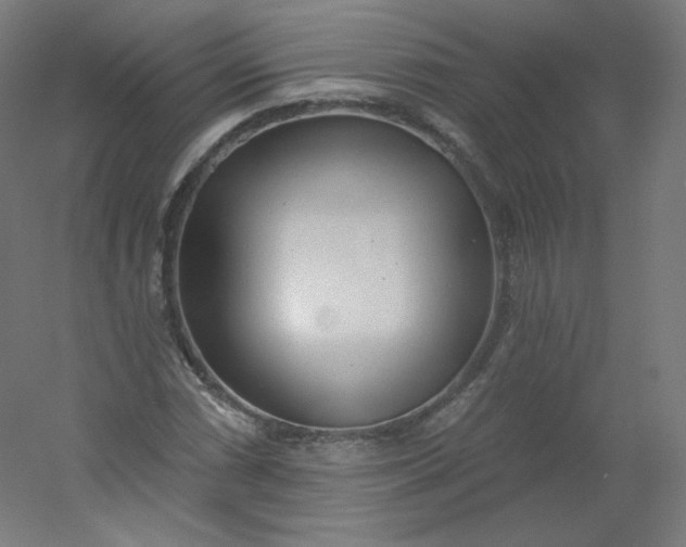 X0000054361066200508121508
