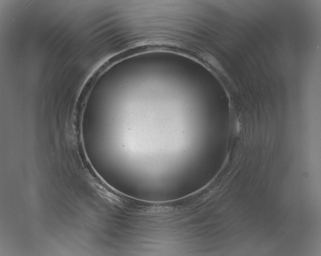 X0000054361068200508121508