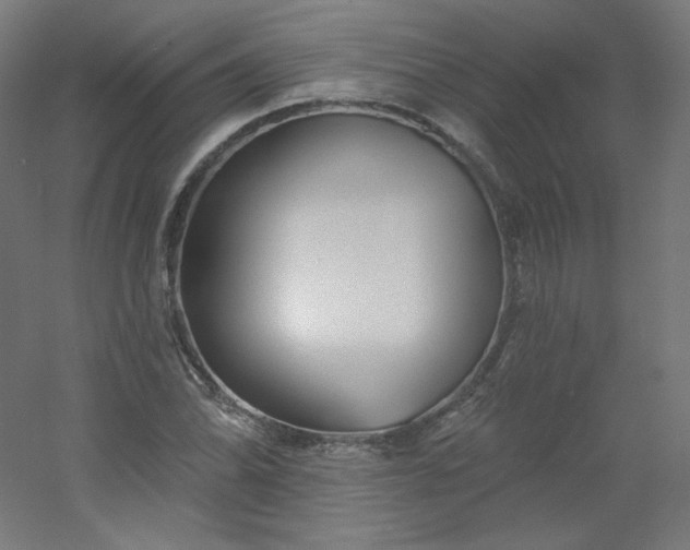 X0000054361070200508121508