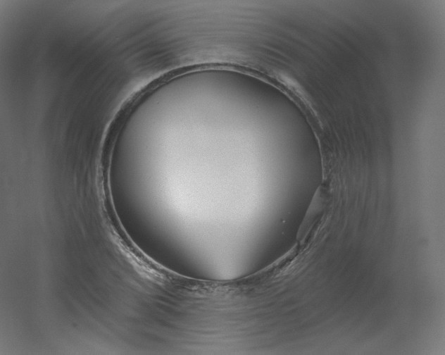 X0000054361072200508121508