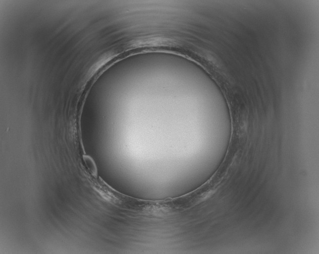 X0000054361073200508121508