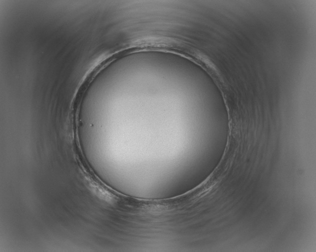 X0000054361075200508121508