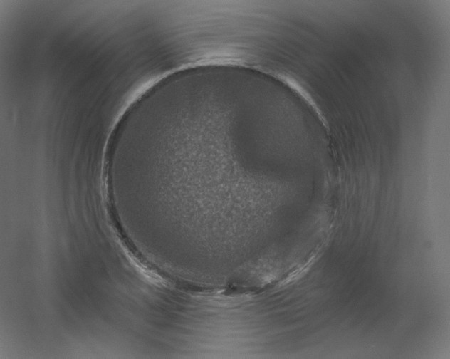 X0000054361077200508121508