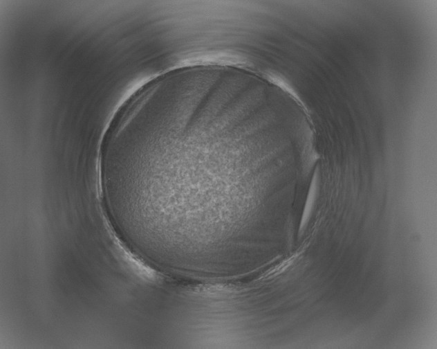 X0000054361079200508121508