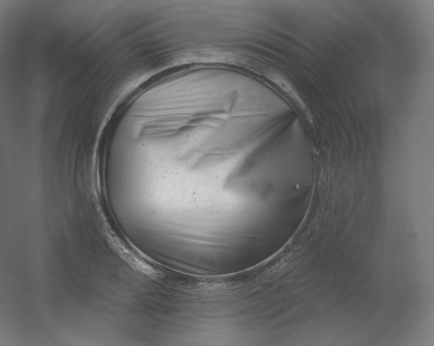 X0000054361080200508121508
