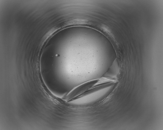 X0000054361081200508121508
