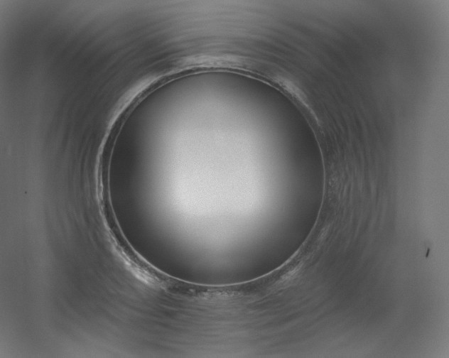 X0000054361082200508121508