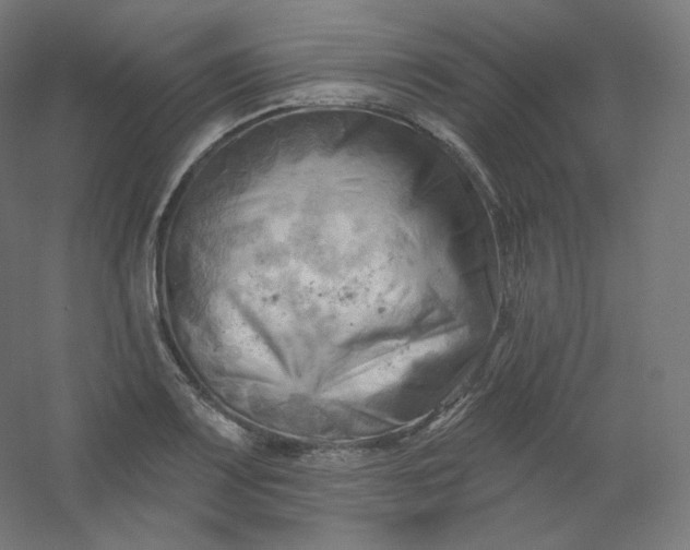 X0000054361083200508121508