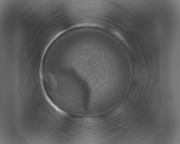 X0000054361084200508121508