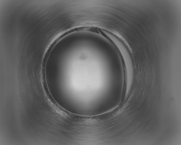 X0000054361085200508121508