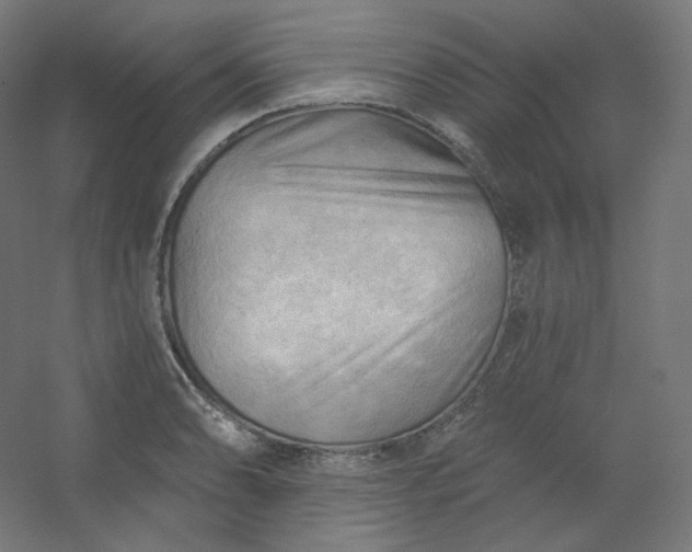 X0000054361086200508121508