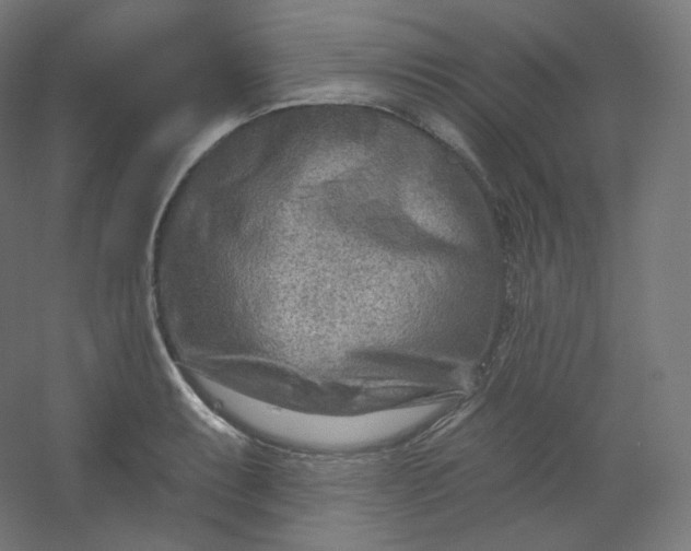 X0000054361087200508121508