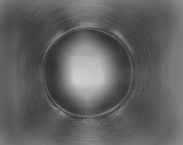 X0000054361089200508121508