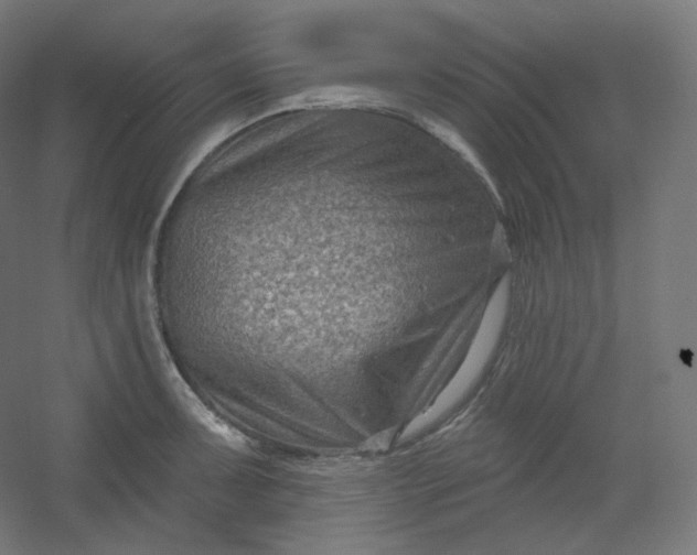 X0000054361091200508121507