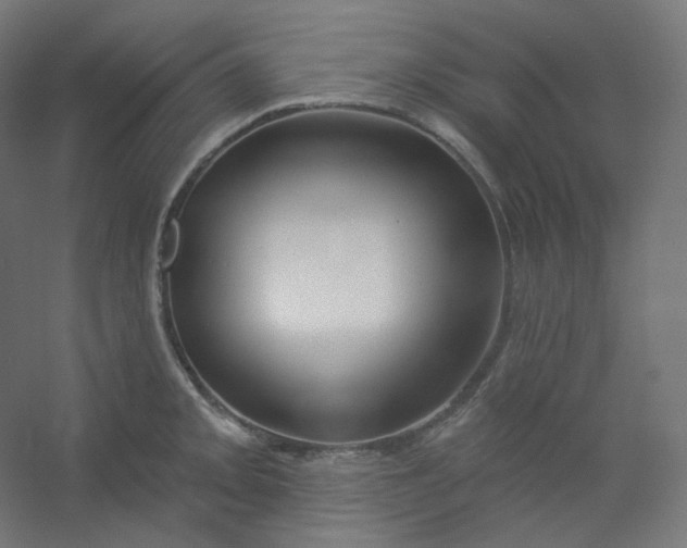 X0000054361093200508121507