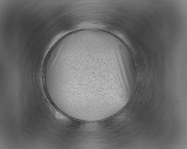 X0000054361094200508121507