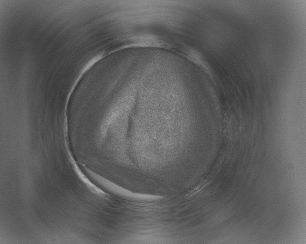 X0000054361095200508121507