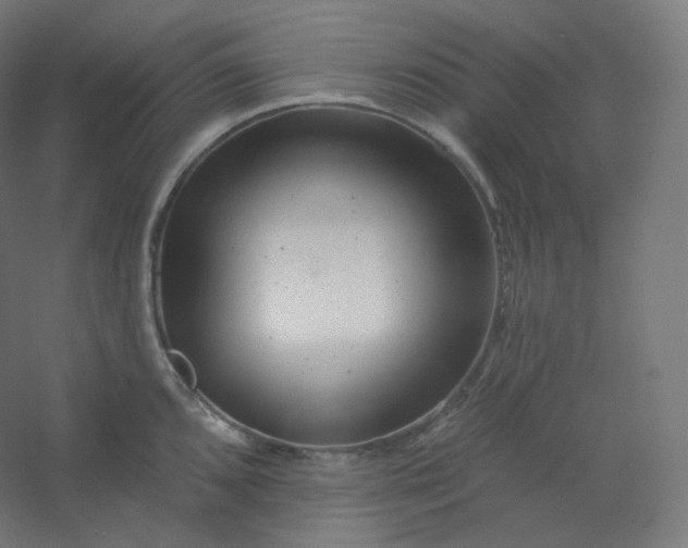 X0000054361096200508121507