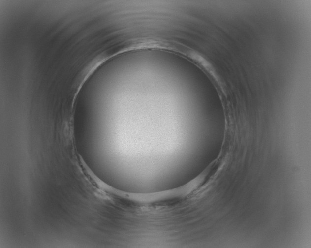 X0000054361097200508121507