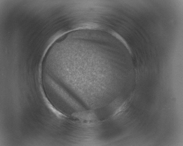 X0000054361099200508121507