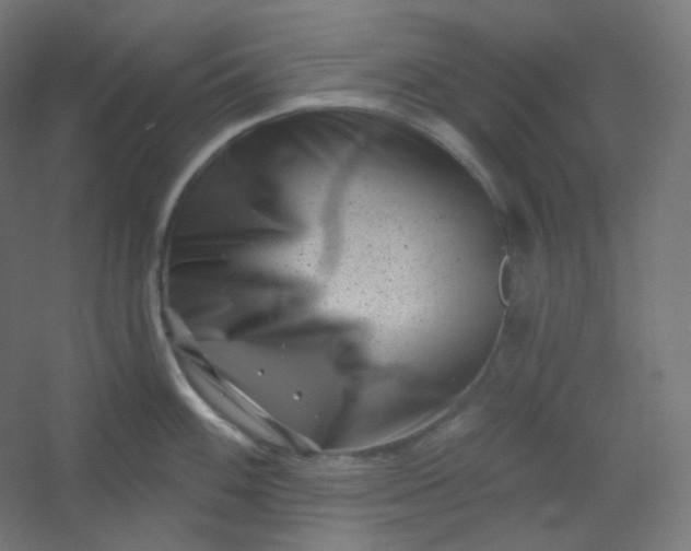 X0000054361100200508121507