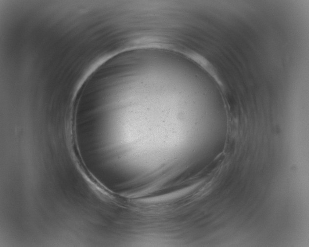 X0000054361101200508121507
