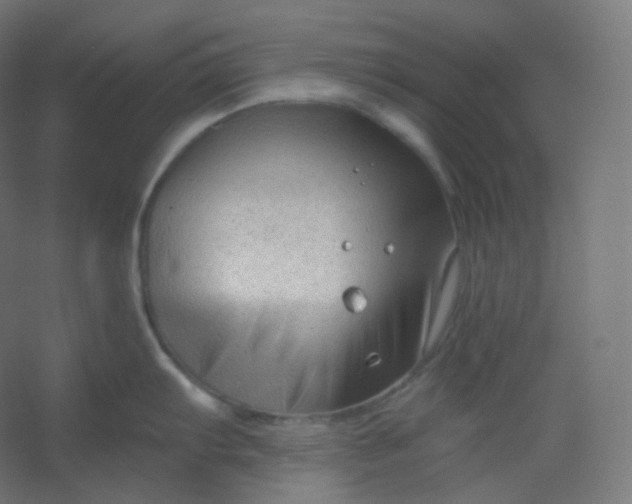 X0000054361103200508121507