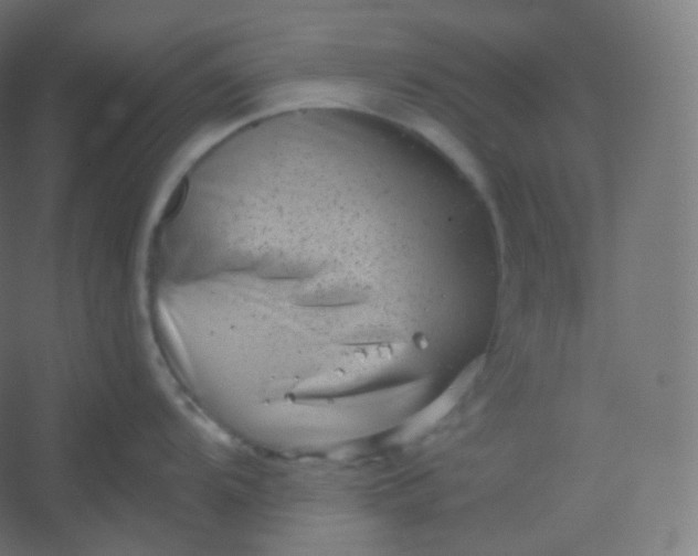 X0000054361104200508121507