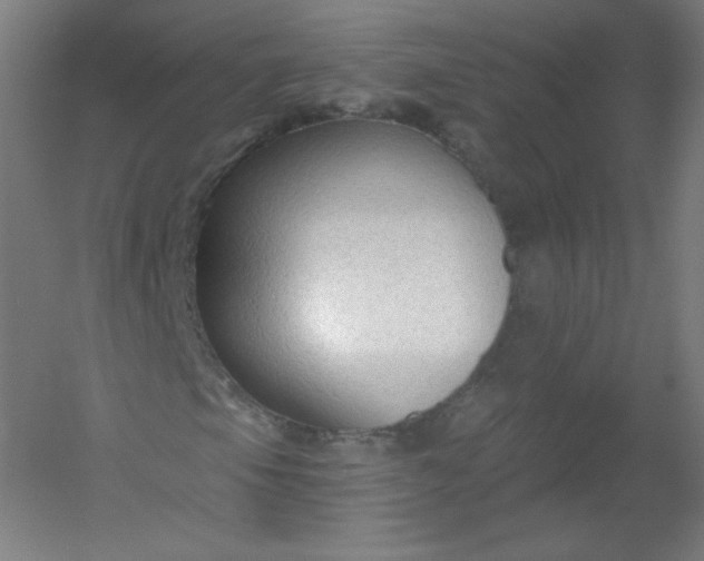 X0000054361105200508121506