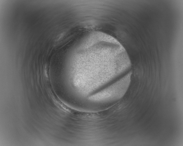 X0000054361106200508121506