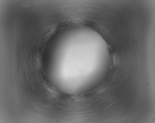 X0000054361107200508121506
