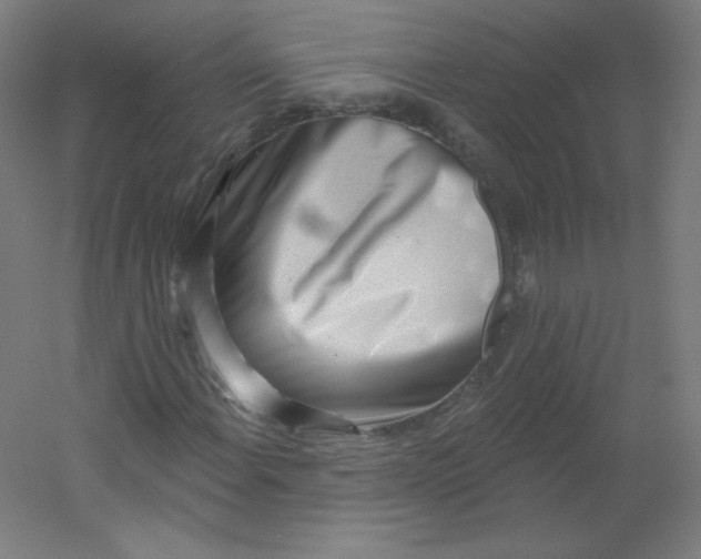 X0000054361108200508121506