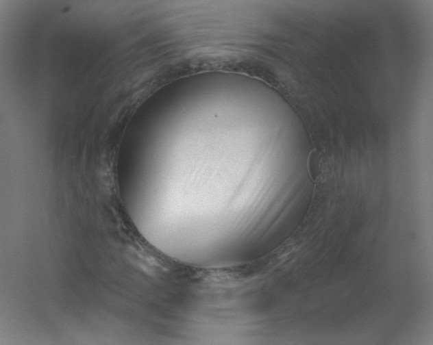 X0000054361109200508121507