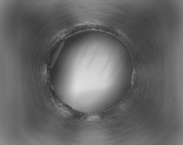 X0000054361110200508121507