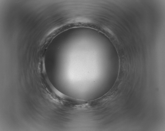 X0000054361112200508121507