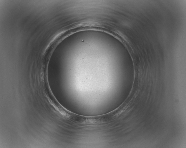 X0000054361115200508121507