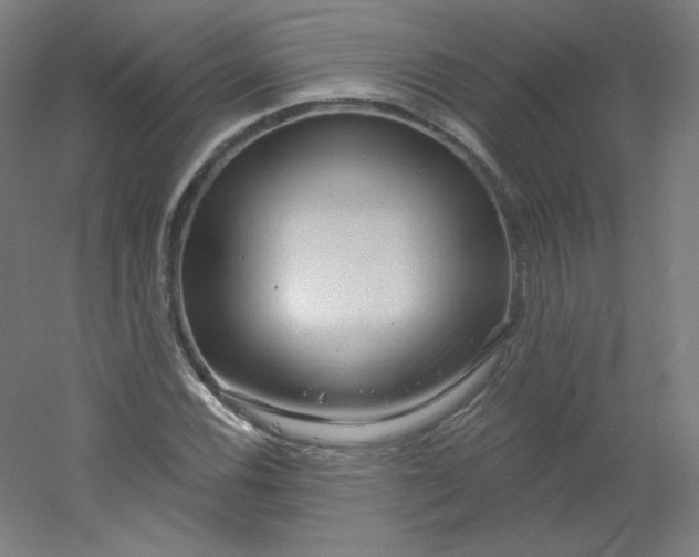 X0000054361116200508121507