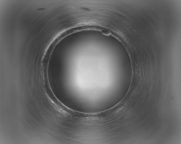 X0000054361118200508121507