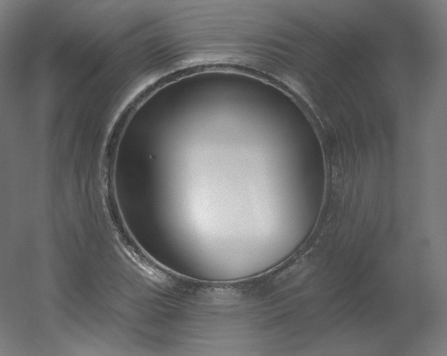 X0000054361119200508121507
