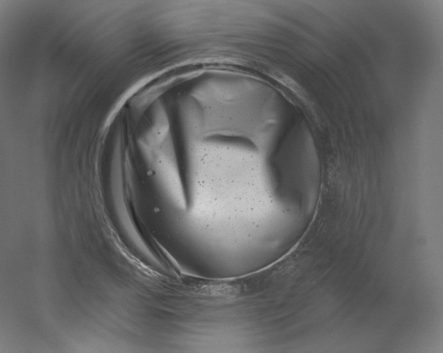 X0000054361120200508121507