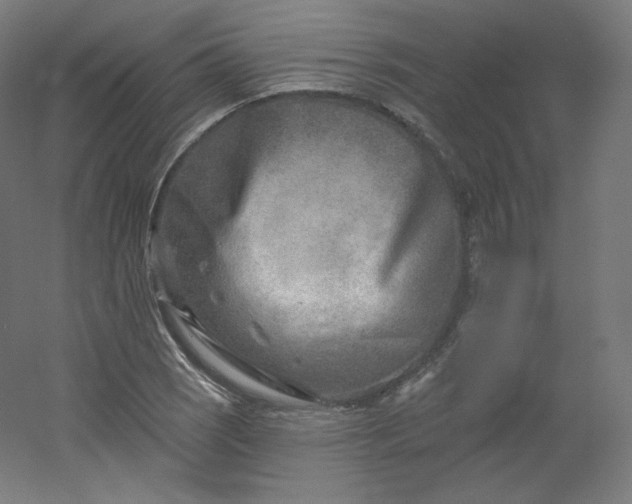 X0000054361121200508121507