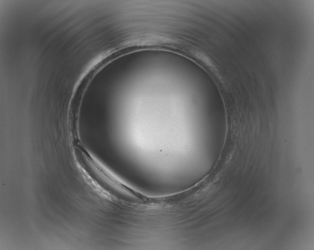 X0000054361122200508121507